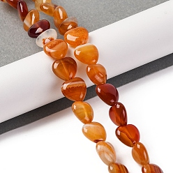 Red Agate Натуральный красный агат бисер нитей, сердце, 11.5~12x11.5~12x5~5.5 мм, отверстие : 1 мм, около 33 шт / нитка, 15.16'' (38.5 см)