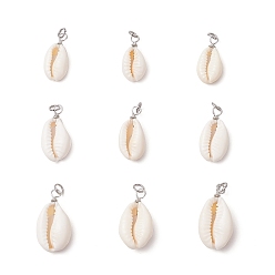 Платина 9шт. подвески из натуральной ракушки каури, с круглыми медными проволочными петлями и соединительными кольцами, белые, платина, 19.5~26.5x9.5~13.5x4.5~8 мм, отверстие : 3.5 мм