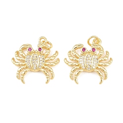 Краб Латунные микро проложить кубического циркония подвески, долговечный, стойки покрытие, без свинца и без кадмия, с целью перехода в кольце, реальный 18 k позолоченный, краб, 20x20x4 мм, отверстие : 3.5 мм