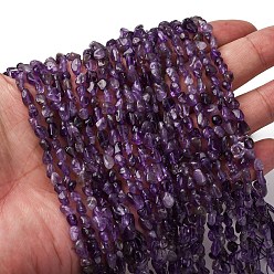 Аметист Природный аметист нитей бисера, самородки, 5~9x4~6x3~4.5 мм, отверстие : 0.7 мм, около 75~89 шт / нитка, 15.35'' (39 см) ~ 15.94'' (40.5 см)