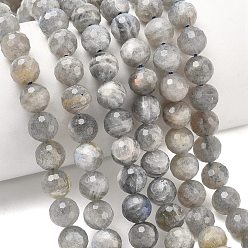 Лабрадорита Природные лабрадорита бисер нитей, граненый (128 граней), круглые, 8 мм, отверстие : 1.2 мм, около 46 шт / нитка, 15.04 дюйм (38.2 см)