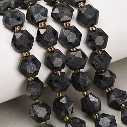 Larvikite Natural Larvikite Beads Strands, Hexagon, Faceted, with Seed Beads, 10x11x6~7mm, Hole: 1.4mm, about 15~16pcs/strand, 7.28''(18.5cm)~7.48''(19cm)