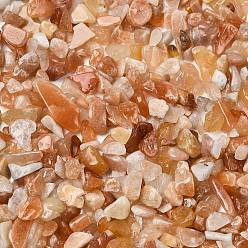 Красный Авантюрин Натуральный красный авантюрин чипов бисером, нет отверстий / незавершенного, 2~8x2~4 мм, около 8500 шт / 500 г