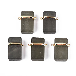 Серый Стеклянные прямоугольные звенья соединительные подвески, с латунной фурнитурой , золотые, серые, 25.4~25x20x9.5~10 мм, отверстие : 1.6 мм