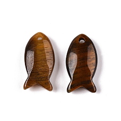 Тигровый глаз Природных тигровый глаз подвески, рыбы прелести, 23.5~24.5x12x5~6 мм, отверстие : 2 мм