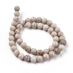 Maifanite Natural Maifanite/Maifan Stone Beads Strands, Round, 8mm, Hole: 1mm, about 46pcs/strand, 15.3 inch(39cm)
