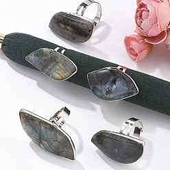 Лабрадорита Регулируемые кольца из натурального лабрадорита, с латунной фурнитурой , лист, Размер 8, 18.5 мм