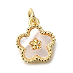 Real 16K Gold Plated Brass Shell Pendants, Flower Charms, with Jump Ring, Real 16K Gold Plated, 13.5x11.5x2mm, Hole: 3mm