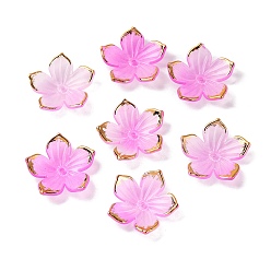 Ярко-Розовый Прозрачные колпачки акриловая бисера, с золотым краем, цветок, ярко-розовый, 23.5x1.5 мм, отверстие : 1.5 мм, Около 962 шт / 500 г