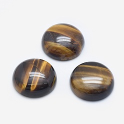 Тигровый глаз Природных тигровый глаз кабошонов, полукруглый, 19.5~20x6~7 мм