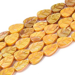 Золотистый Нити резных бусин из натуральных пресноводных ракушек, лист, окрашенные, AB цвет, золотые, 10x6~6.5x2~4 мм, отверстие : 0.6~0.7 мм, около 36 шт / нитка, 14.17 дюйм (36 см)
