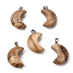 Пейзажный Джаспер Естественного изображения яшмы подвески, подвески в виде луны 304 с защелками из нержавеющей стали, цвет нержавеющей стали, 34~34.5x23~23.5x12~12.5 мм, отверстие : 6.5x4 мм