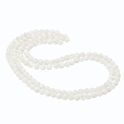 Seashell Color 2 Strands Natural Trochid Shell/Trochus Shell Beads Strands, Round, Seashell Color, 6mm, Hole: 0.8mm, about 71pcs/strand, 15.75 inch(40cm)
