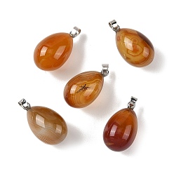 Red Agate Натуральный красный агат подвески, Подвески в виде яиц с 304 защелкивающимися креплениями из нержавеющей стали, цвет нержавеющей стали, окрашенная и подогревом, 33~34.5x19.5~20.5 мм, отверстие : 7x4 мм