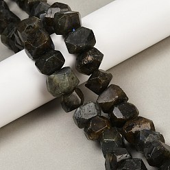 Лабрадорита Природные лабрадорита бисер нитей, граненые, самородки, 12~13x16~19x12~14 мм, отверстие : 0.9 мм, около 29~31 шт / нитка, 14.37~15.28'' (36.5~38.8 см)