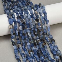 Кианит Натуральный кианитовые бисер пряди, самородки, 6~11x6~8x4~7 мм, отверстие : 1 мм, около 49~51 шт / нитка, 15.35~15.75'' (39~40 см)