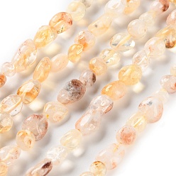 Лодолит Кварц Природного кварца lodolite нитей бисера, самородки, упавший камень, 4.5~11.5x3~7x3.5~6 мм, отверстие : 1~1.2 мм, около 48~68 шт / нитка, 15.35~15.94'' (39~40.5 см)