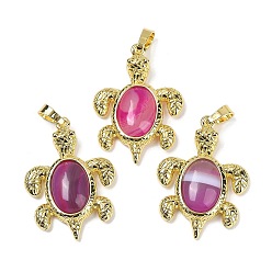 Полосатый Агат Подвески из натурального полосчатого агата (окрашенного и нагретого) и латуни, окрашенная и подогревом, стойки покрытие, без кадмия и без свинца, в форме морской черепахи, 38x27.5x7 мм, отверстие : 8x5 мм