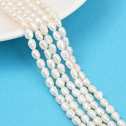 Морская Ракушка Нити из натурального культивированного пресноводного жемчуга, двух сторон полированной, класс 3а+, цвет морской раковины, 4~5 мм, отверстие : 0.6 мм, около 57 шт / нитка, 13.54~13.90'' (34.4~35.3 см)