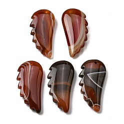 Натуральный Агат Природные подвески агат, крылатые прелести, 43~43.5x20~20.5x18~18.5 мм, отверстие : 1.5 мм