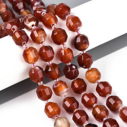 Шоколадный Бусины из натурального агата (окрашенные и нагретые), энергетическая призматическая огранка с двойными концами бусины, граненые двухконусные, с бисером, цвет шоколада, 9~10x9 мм, отверстие : 1 мм, около 30~31 шт / нитка, 14.17~14.57'' (36~37 см)
