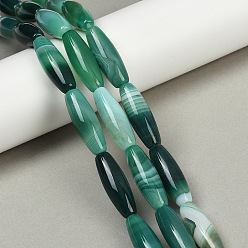 Зеленый Натуральные полосатые агатовые / полосатые агатовые бусинки, окрашенные, рис, зелёные, 30x10 мм, отверстие : 1.2 мм, около 13 шт / нитка, 15.35'' (39 см)