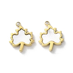 Лист Ионное покрытие (ip) 304 брелоки из нержавеющей стали, с паве-ракушкой, реальный 18 k позолоченный, лист, 12x10x2 мм, отверстие : 1.2 мм