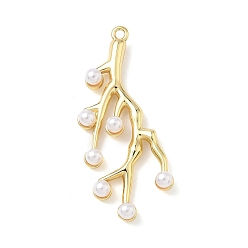 Настоящее золото 18K Латунь прелести, филиал, с абс пластмассовыми жемчужными бисером, долговечный, без кадмия и без свинца, реальный 18 k позолоченный, 35x18x4 мм, отверстие : 1.4 мм