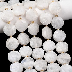 Rainbow Moonstone Бусины из натурального радужного лунного камня, плоско-круглые, граненый шестиугольный разрез, с бисером, 15~15.5x5 мм, отверстие : 1.2 мм, около 22 шт / нитка, 14.96'' (38 см)