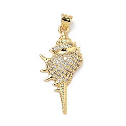 Shell Shape Латунные микро проложить кубического циркония подвески, реальный 18 k позолоченный, формы раковины, 33.5x15.5x5.5 мм, отверстие : 4.5x3.5 мм
