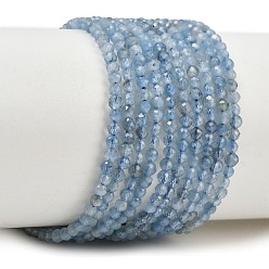 Aquamarine Natural Devil Blue Aquamarine Beads Strands, Faceted, Round, 2mm, Hole: 0.5mm, about 169~170pcs/strand, 15.35''(39cm)