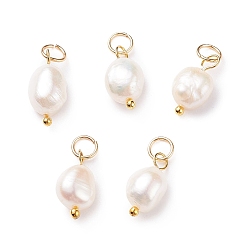 Golden 10Pcs Natural Cultured Freshwater Pearl Pendants, with Brass Findings and 304 Stainless Steel Jump Rings, Golden, 13~15mm