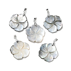 Платина Оболочки губ натуральный черный подвески, подвески-цветы с латунными дужками, платина, 26.5~27x26.5~27x2.5~3 мм, отверстие : 4.5x4 мм