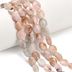 Морганит Натуральный розовый морганит бисер нитей, форма яйца, 9.5~10.5x8~8.5x4.5 мм, отверстие : 0.8 мм, около 41 шт / нитка, 16.02~16.14'' (40.7~41 см)