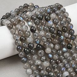 Лабрадорита Природные лабрадорита бисер нитей, круглые, 7~7.5 мм, отверстие : 1.2 мм, около 55~56 шт / нитка, 15.35''~15.55'' (39~39.5 см)