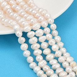 Морская Ракушка Нити из натурального культивированного пресноводного жемчуга, картофель, класс a ++, цвет морской раковины, 7~8 мм, отверстие : 0.7 мм, около 54~55 шт / нитка, 14.09~14.37 дюйм (35.8~36.5 см)