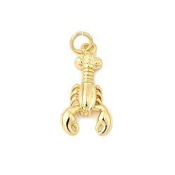 Креветка Латунные подвески, долговечный, без свинца и без кадмия, стойки покрытие, с целью перехода в кольце, реальный 18 k позолоченный, креветка, 20.5x10.5x3 мм, отверстие : 3 мм