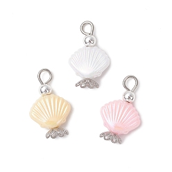 (52) Непрозрачная лаванда 3подвески из искусственного жемчуга из абс-пластика, формы раковины, с железной петлей, разноцветные, 20x12.5x7 мм, отверстие : 2.5 мм