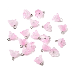 Бледно-Розовый Стеклянные прелести, цветок, с латунной петлей платинового тона и блестящей пудрой, градиент цвета, розовый жемчуг, 10.5x11 мм, отверстие : 2 мм