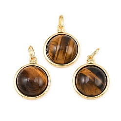 Настоящее золото 18K Природных тигровый глаз подвески, полукруглые подвески с латунной оправой, реальный 18 k позолоченный, 20.5x17x7 мм, отверстие : 4.5x2 мм