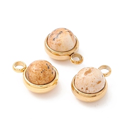 Пейзажный Джаспер Натуральные прелести яшмы, с ионным покрытием (ip) 304 выводы из нержавеющей стали, полукруглый, реальный 18 k позолоченный, 13.5x10x7.5 мм, отверстие : 2.5 мм