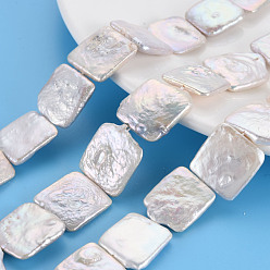 Морская Ракушка Природные Кеши жемчуг пряди, культивированный пресноводный жемчуг, прямоугольные, цвет морской раковины, 17~24x16~21x3~8 мм, отверстие : 0.6 мм, около 19~20 шт / нитка, 15.75~16.14 дюйм (40~41 см)