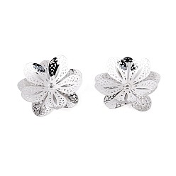 Платина Шапочки и конусы для бусин, латунные, цветок, платина, 23~24x23.5~24x5~6 мм, отверстие : 0.8~0.9 мм