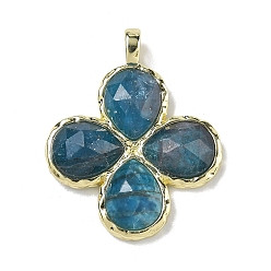Апатит Граненые подвески из натурального апатита, Подвески в виде клевера с латунными застежками с гальваническим покрытием., золотые, 30~31x25.5x5.5~6 мм, отверстие : 4x3 мм