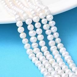 Желтая Старая Ткань  Нити из натурального культивированного пресноводного жемчуга, класс 5а++, картофель, старое кружево, 5~6 мм, отверстие : 0.8 мм, около 57~58 шт / нитка, 13.50~13.70 дюйм (34.3~34.8 см)