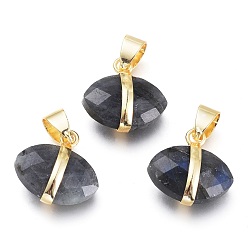 Лабрадорита Природные лабрадоритные прелести, с легкой позолоченной латунной фурнитурой, лошадиный глаз , граненые, 14.5x14~15x6.5 мм, отверстие : 6x4.2 мм