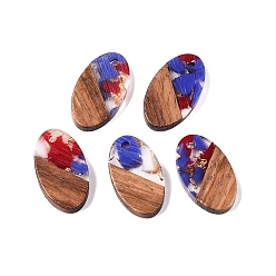 Разноцветный Подвески из прозрачной смолы и ореха, овальные подвески с золотой фольгой, красочный, 22x12.5x3.5 мм, отверстие : 2 мм