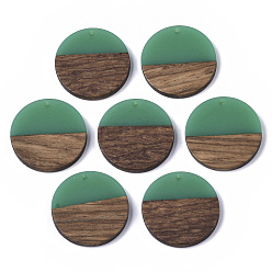 Средний Морско-зеленый Подвески из прозрачной смолы и ореха, плоско-круглые, средний морской зеленый, 28.5x3.5~4 мм, отверстие : 1.5 мм