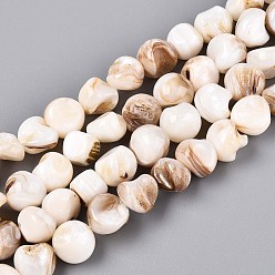 Морская Ракушка Естественных пресноводных оболочки бисер нитей, самородки, цвет морской раковины, 7~12x6~12x6~12 мм, отверстие : 0.9 мм, около 36~37 шт / нитка, 15.16~15.55 дюйм (38.5~39.5 см)
