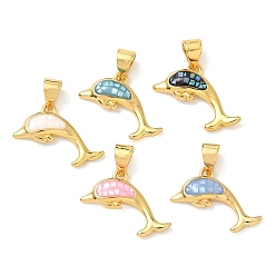 Настоящее золото 18K Латунь эмаль подвески, с естественной оболочке, прелести дельфинов, долговечный, стойки покрытие, без свинца и без кадмия, реальный 18 k позолоченный, 13x18x3 мм, отверстие : 4.5x3.5 мм